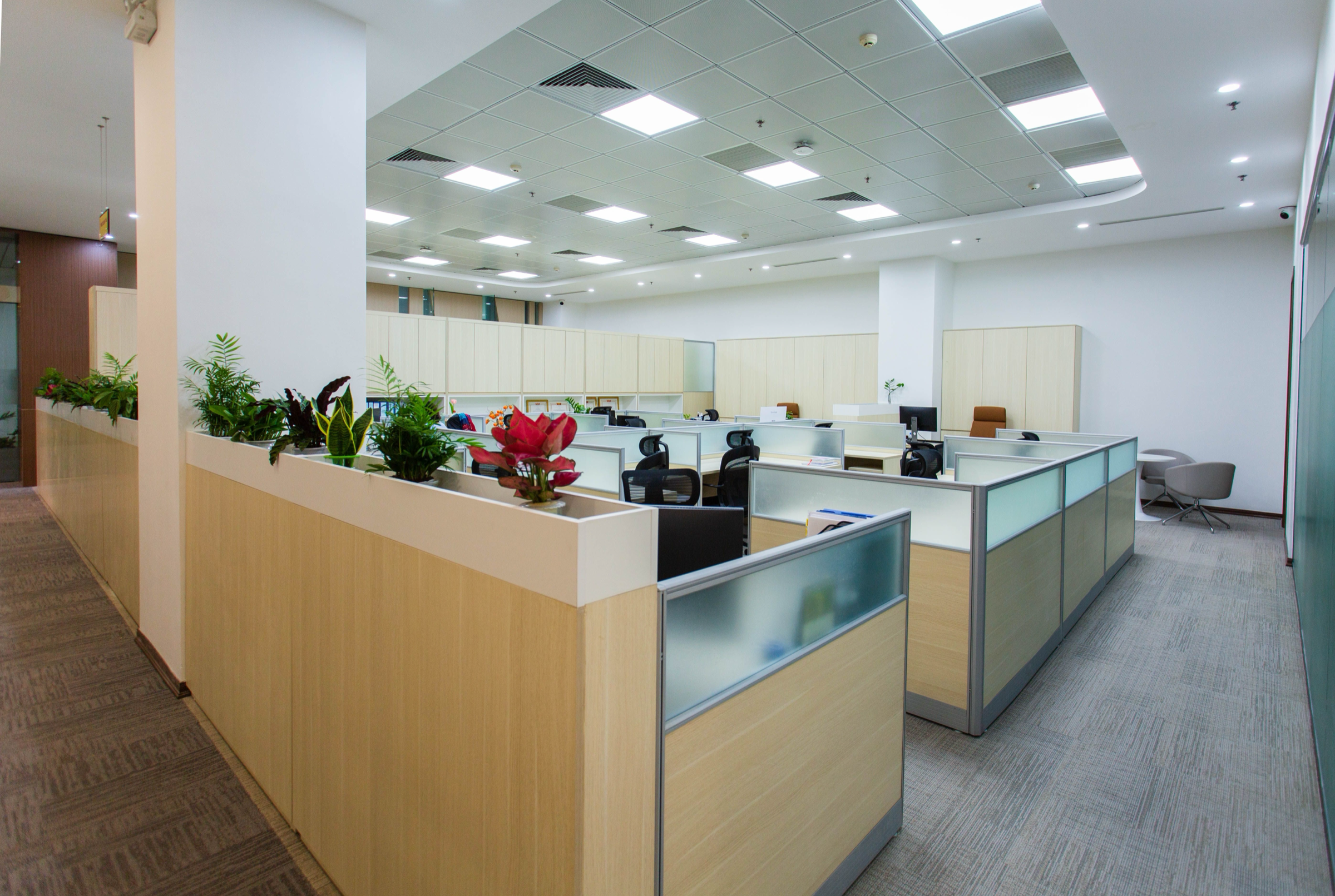 Open-plan office space with workstations for a growing team in Hyderabad